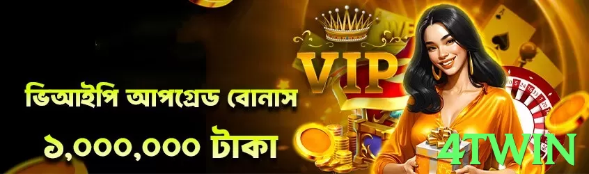 4twin interface sample - 3